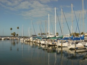 Dunedin Marina Sailboats