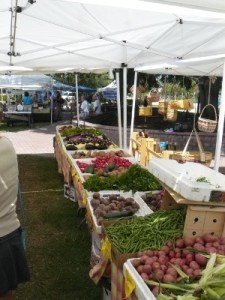 Dunedin Green Market