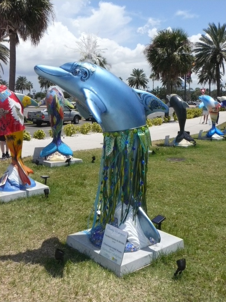 Hoola Dolphin Clearwater RNC Dolphin Display