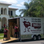 tampa bay movers