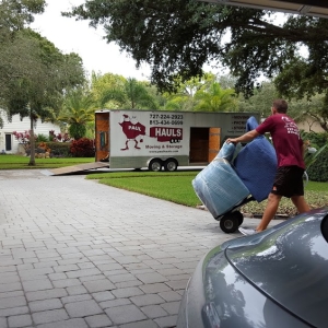 moving day in tampa bay