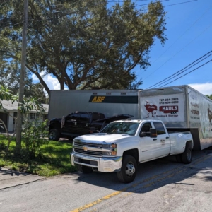 Moving in Palm Harbor Florida