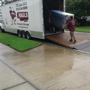 new port richey movers summer move